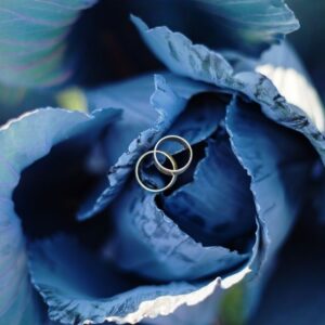 Something Borrowed Something Blue